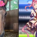 Murió Haru Urara, la querida yegua de carreras que inspiró al personaje de Umamusume